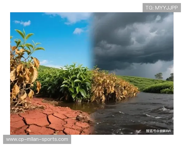 “天灾考验：极端天气中的坚韧与决心”，极端天气灾害