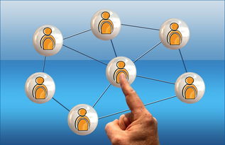 米兰体育官网-校园体育文化与学生心理健康关联研究,学校体育心理学的意义