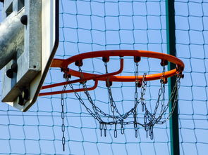 米兰体育网页版登录-篮球专项技能动作运动控制机制分析与应用,篮球运动主要技术动作方法及其运用