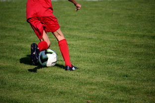 米兰体育正版平台-篮球运动员心理健康支持体系构建,篮球运动员心理健康支持体系构建方案