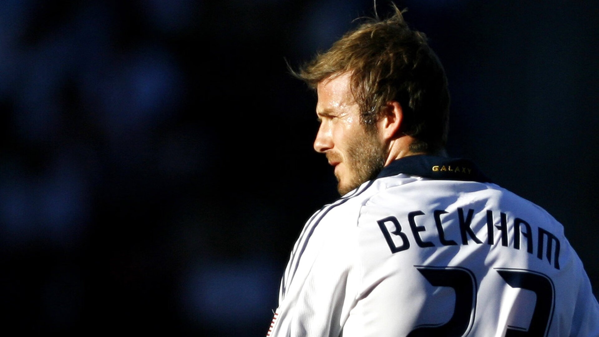 世界武术锦标赛散打男子决赛 中国选手KO夺金